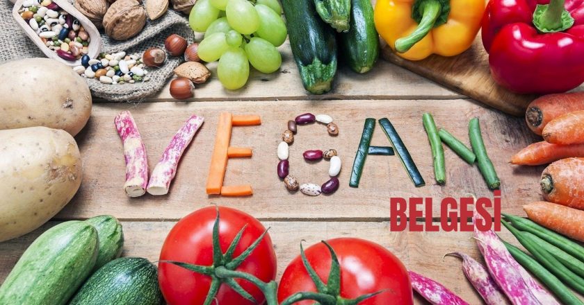 Vegan Belgesi ve Çevre Dostu Üretim Uygulamaları