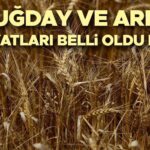 2025 Buğday Satın Alma | Buğday ve tahılların fiyatları ne zaman açıklanacak, buğdayın fiyatları mıydı? İşte mevcut temel fiyatlar!