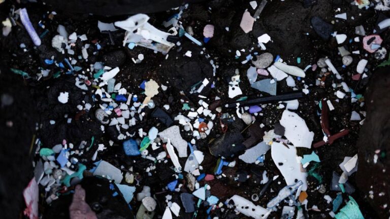 Okyanusun her katmanında mikroplastik bulundu