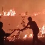 Hakkari-Van il sınırında arasında çıkan yangın korkuttu