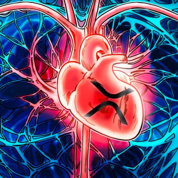 XRP neden önemli? Fiyatının ötesindeki gerçek değerini belirleyen 5 faktör