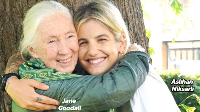 Atık ekmek tepsidi ve patates var