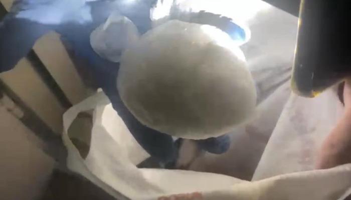 Samsun’da uyuşturucu operasyonu! Gözaltın alındı